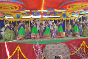 Jawahar Navodaya Vidyalaya-Dance  Celebration